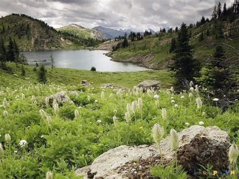 Bộ sưu tập những cảnh đẹp thiên nhiên thơ mộng và lãng mạn nhất Thư viện Ảnh đẹp hot nhất 2025