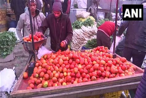 Tomato Prices Skyrocket To Rs 140kg In South Due To Rains Amar Ujala