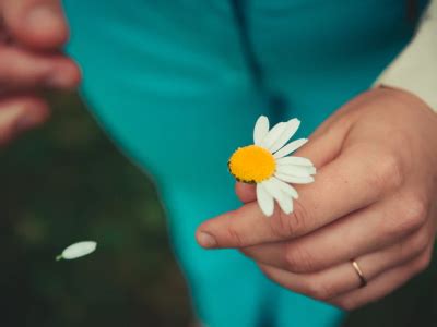 Frases De Recome O No Amor Para Acreditar Em Segundas Chances