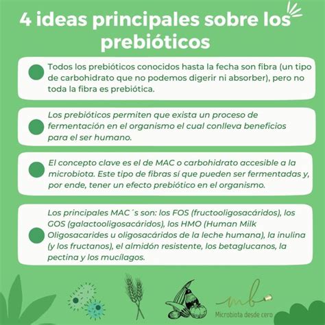 Prebi Ticos La Manera M S Natural De Cuidar Nuestra Microbiota