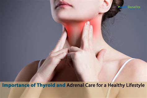 Importance Of Thyroid And Adrenal Care For A Healthy Lifestyle