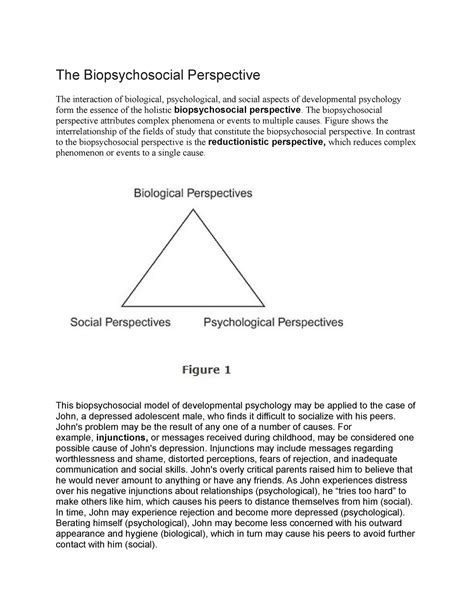 The Biopsychosocial Perspective The Biopsychosocial Perspective