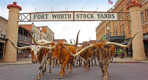 Fort Worth Stock Show and Rodeo FWSSR 2019 - Cowboy Lifestyle Network