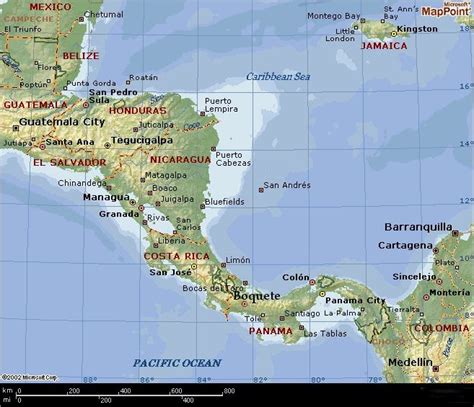 lamastus family coffee farms  central america