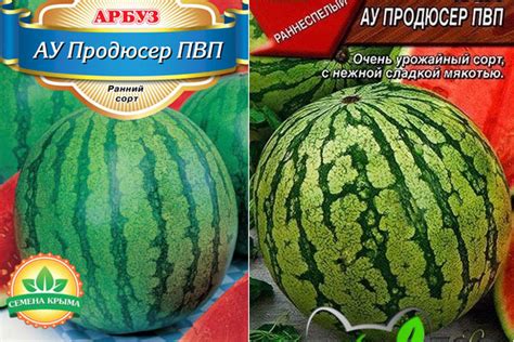 Арбуз Продюсер: описание сорта, фото, отзывы, характеристика ...