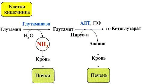 Глутамат натрия-вред или польза? | Пикабу