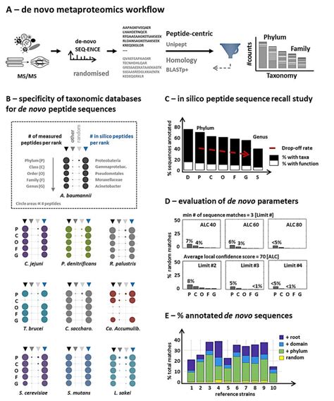 A) Shotgun metaproteomics workflow. Shotgun metaproteomic raw data from ... 
