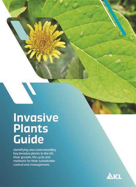 ICL Publishes Free Comprehensive Invasive Plants Guide Landscaping