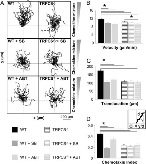 Cxcr2 And Pafr Mediate Chemokine Mixture Induced Chemotaxis A