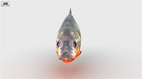 View Of Piranha Low Poly D Model Dmodels Store