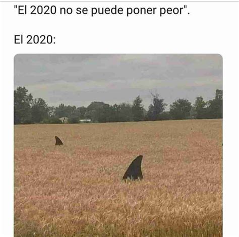 El 2020 No Se Puede Poner Peor El 2020 Memes