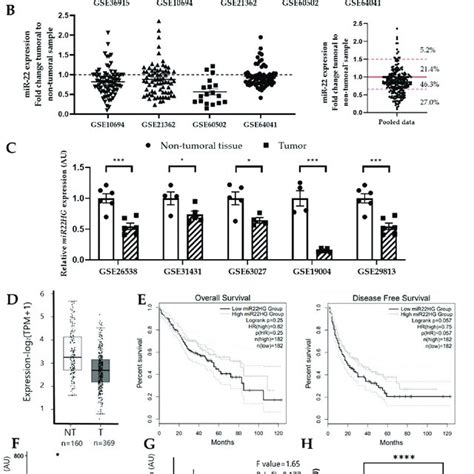 In Silico Analysis Of Mir Expression In Human And Rodent