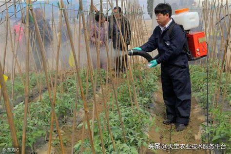 殺菌劑這些使用誤區你真的了解嗎？ 每日頭條