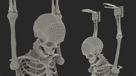 Human Male Skeleton Shackled D Model Ds Blend C D Fbx Max