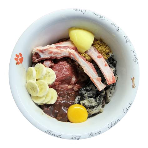 Was versteht man unter BARF? | BARF-Check