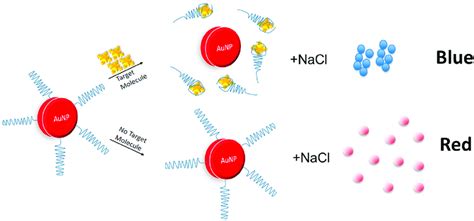 The mechanism of the colorimetric detection of a small target molecule ... 