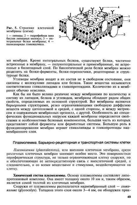 Гистология, цитология и эмбриология - Афанасьев Ю.И., Юрина Н.А. - 2002