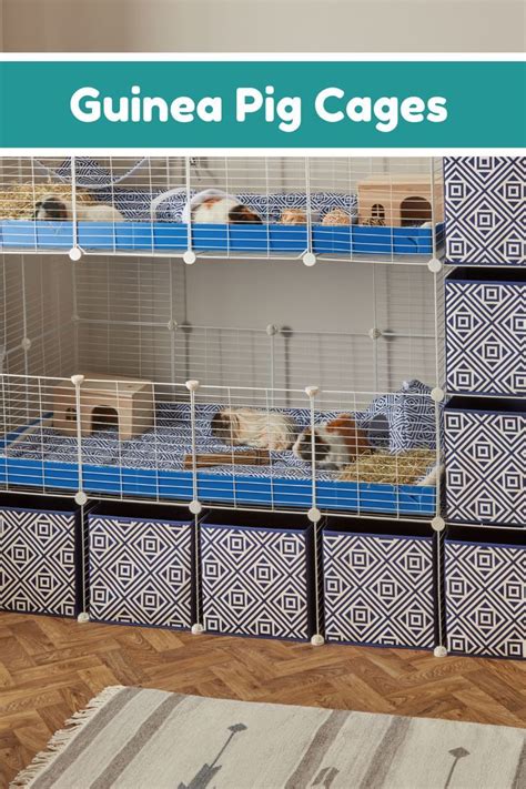 The Best Cages For Guinea Pigs Artofit