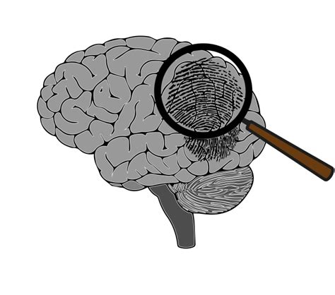 Psicología Clínica Y Forense