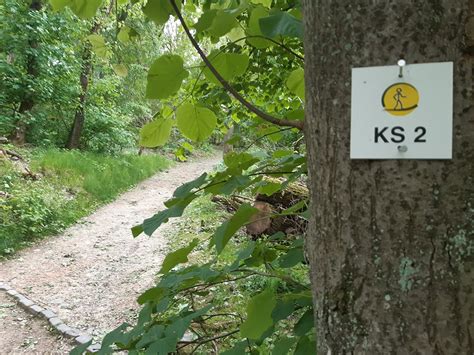 Heilklima Wanderweg Königstein 2 KS2 Königstein im Taunus