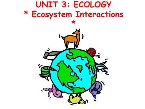 Interactions in Ecosystems