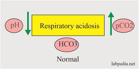 Acid Base Balance Part Respiratory Acidosis And Respiratory