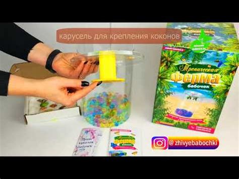 Живые бабочки, букеты цветов с бабочками, в Москве. Магазин бабочек. Ру ...