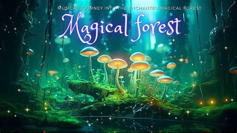 Magical Mushroom Forest Is Beautiful Enchanting Forest Music Lets Color