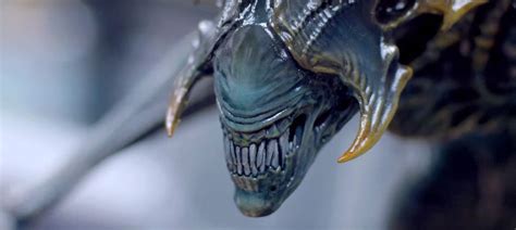 Alien King Makes His Royal Debut on #AlienDay426 | Collider