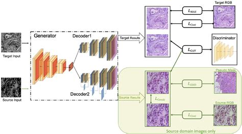 When And How To Use Stain Normalization