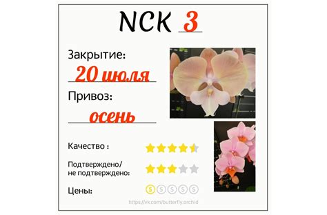 Butterfly Orchid | Орхидеи в Екатеринбурге | ВКонтакте