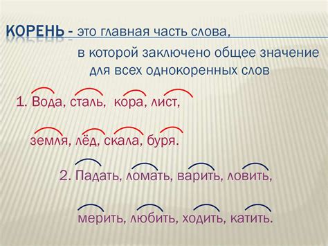 Сложные слова. Знакомство. Урок новых знаний. 7 класс - презентация онлайн