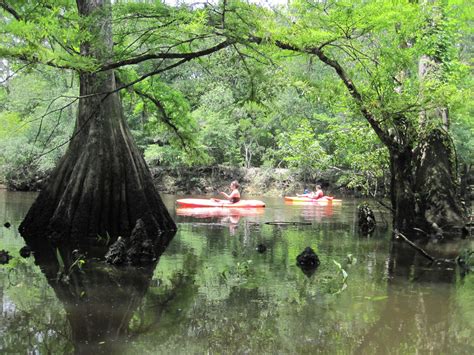 Creeks Near Me To Kayak Micah Pritchard