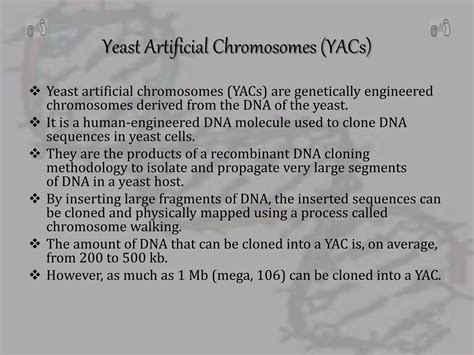 Artificial Chromosomes Yac And Bac Ppt