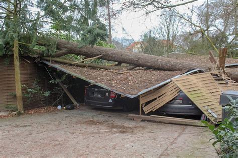 Sch Den Nach Orkan Sabine In S Chteln