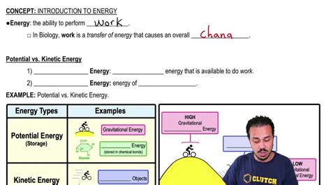 Science Thermal Energy Online Exercise For Live Worksheets Worksheets Library