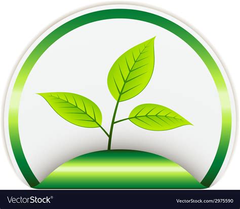 Bio Sticker Royalty Free Vector Image Vectorstock