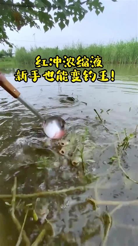 红虫液测试，隔壁钓友眼睛都看红了红虫液饵料钓鱼人 抖音