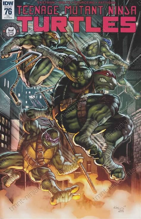 IDW TMNT Vol V 076 1st Cover RE Excelsior Collectibles A TMNT