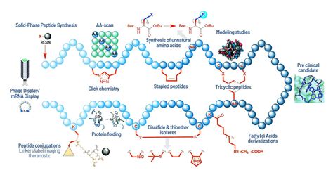 Peptide Drug Discovery IRBM