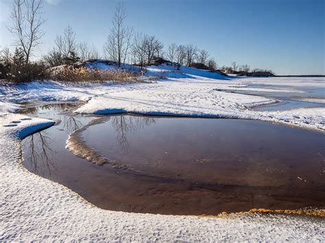 West Dunes, Sandbanks by Bert Jenkins | The Times