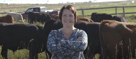 How one rancher keeps cattle on the move and carbon in the soil | AGDAILY