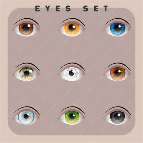 Коллекция наборов глаз, глаза разного цвета, векторная группа глаз ...