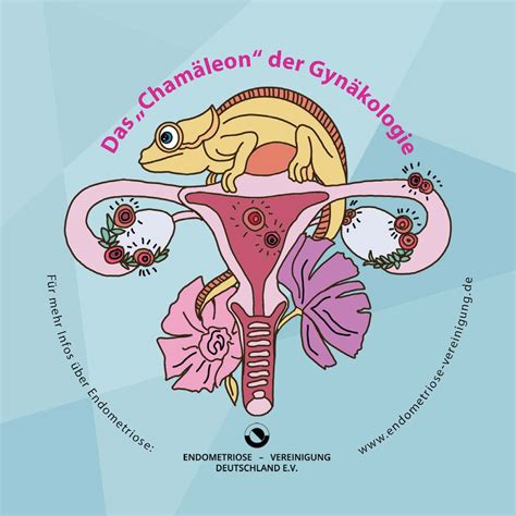 Infomaterial Bestellen Endometriose Vereinigung Deutschland E V