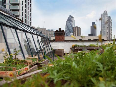 The London Fiver Five Of The Best Rooftop Gardens In London For