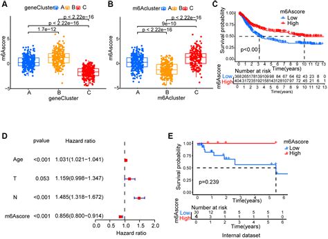Characterization of m6A methylation modifications in gastric cancer ... 