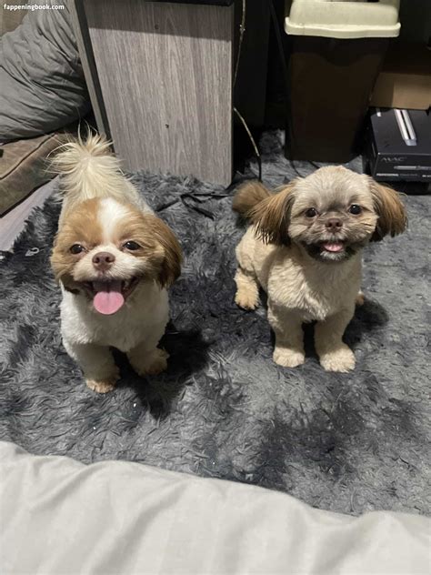 Kyla Yung Https Kyla Yungcb Nude OnlyFans Leaks Fappening FappeningBook