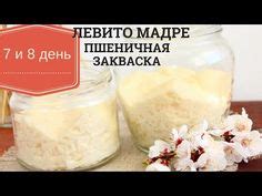 Идеи на тему «Левито Мадре» (30) | закваски, рецепты хлеба, панеттоне