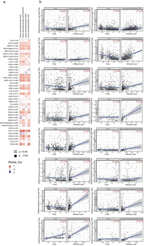 The Relationship Between Prdm16 Expression And Immune Infiltration Of