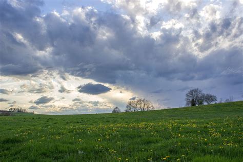 Free Images Landscape Tree Nature Horizon Cloud Field Meadow